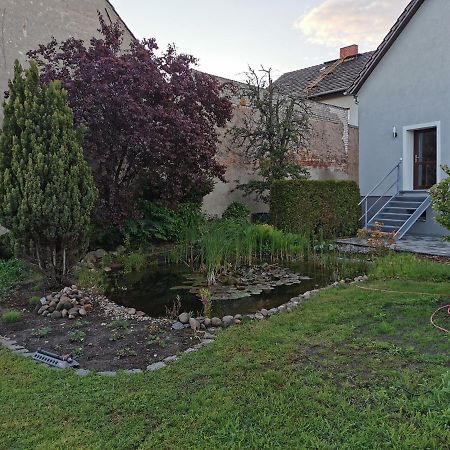 Fewo Rohleder De Mit 130M2 Und Garten Fuer 6Pers Mit 2 Bad Котбус Экстерьер фото