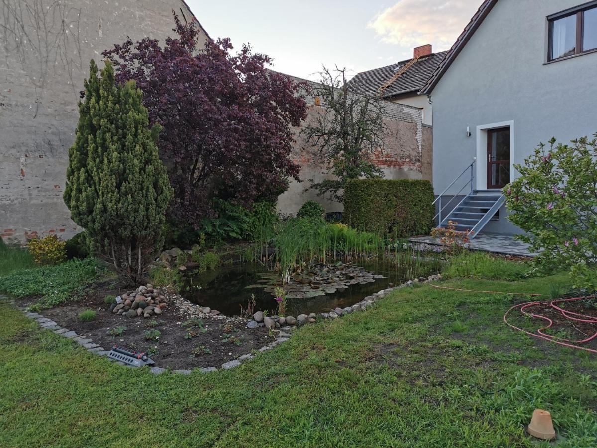 Fewo Rohleder De Mit 130M2 Und Garten Fuer 6Pers Mit 2 Bad Котбус Экстерьер фото