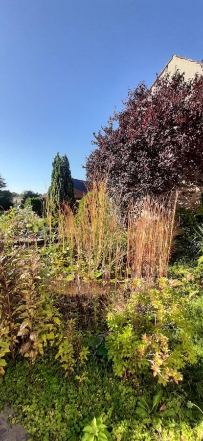 Fewo Rohleder De Mit 130M2 Und Garten Fuer 6Pers Mit 2 Bad Котбус Экстерьер фото